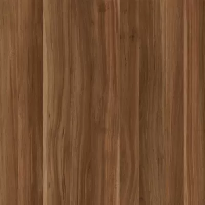 Vision - Anatolian Walnut